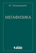 Метафизика (Ю. С. Владимиров, 2015)