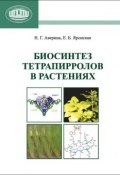 Биосинтез тетрапирролов в растениях (Н. Г. Аверина, 2012)