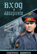 Книга "Вход в лабиринт" (Андрей  Молчанов, Андрей Молчанов, 2015)