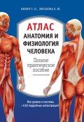 Атлас: анатомия и физиология человека. Полное практическое пособие (Елена Зигалова, Г. Л. Билич, Габриэль Билич, 2017)