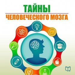 Книга "Тайны человеческого мозга" – Наталья Епифановская, 2013