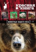 Красная книга. Животные нашего леса (А. Д. Очеретний, 2013)