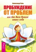 Пробуждение от проблем, или Как Вася Пупкин нашел себя (Александр Руль, 2012)
