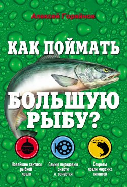 Книга "Как поймать большую рыбу?" – Алексей Горяйнов, 2013