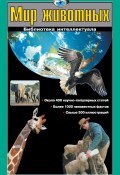 Мир животных (Екатерина Ситникова, Г. П. Шалаева, и ещё 2 автора, 2010)