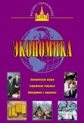 Книга "Экономика" (М. С. Ильин, 2010)