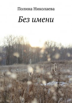 Книга "Без имени" – Полина Николаева, 2015
