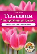 Книга "Тюльпаны. От луковицы до цветка" (Анна Белякова, 2015)