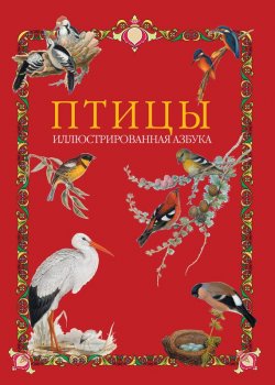 Книга "Птицы. Иллюстрированная азбука" – , 2012