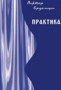 Практика (Виктор Брусницин, 2015)
