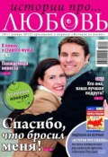 Истории про любовь 11-2012 (Редакция журнала Успехи. Истории про любовь, 2012)