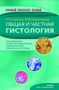 Книга "Общая и частная гистология" – Рудольф Самусев, Марина Капитонова, 2010