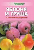 Книга "Яблоня и груша. Технология выращивания" (Панкратова А., 2009)