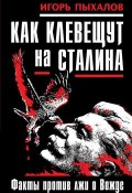 Книга "Как клевещут на Сталина. Факты против лжи о Вожде" (Игорь Пыхалов, 2015)