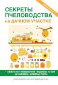 Книга "Секреты пчеловодства на дачном участке" (Кашин Сергей, 2017)