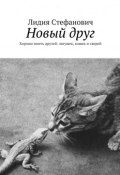 Новый друг. Хорошо иметь друзей: лягушек, кошек и зверей (Лидия Тихоновна Стефанович, Лидия Стефанович)