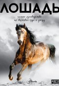 Лошадь. Полное руководство по верховой езде и уходу (Е. М. Иванова, О. Д. Костикова, ещё 2 автора)