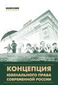 Книга "Концепция ювенального права современной России" (Коллектив авторов, 2015)