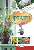 Книга "Орхидеи" (Згурская Мария, 2008)