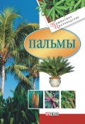Книга "Пальмы" (Згурская Мария, 2007)