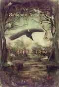 Книга "Чёрное перо" (Валерия Лисичко, 2008)