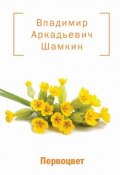 Первоцвет (сборник) (Владимир Шамкин, 2017)
