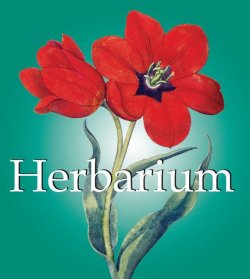 Книга "Herbarium" {Mega Square} – Klaus H. Carl