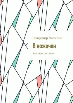 Книга "В ножички. Короткие рассказы" – Владимир Липилин