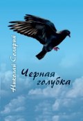Черная голубка (Николай Солярий)