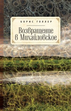 Книга "Возвращение в Михайловское" – Борис Голлер, 2017