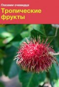 Тропические фрукты (Екатерина Пугачева, Сергей Серебряков, Екатерина Пугачёва, 2016)