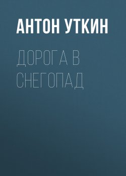 Книга "Дорога в снегопад" – Антон Уткин, 2010