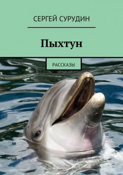 Книга "Пыхтун. Рассказы" – Сергей Сурудин