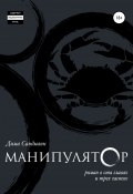 Манипулятор. Глава 028. Финальный вариант. (Сандманн Дима, 2017)