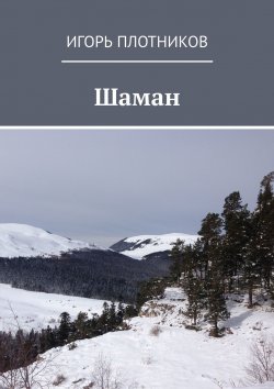 Книга "Шаман" – Игорь Плотников