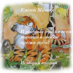 Книга "В родных краях всем хорошо в любое время года!" – Елена Мацак
