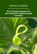 Как Огурец вырастил настоящий Скрипичный ключик (Марина Халеева)