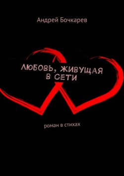 Книга "Любовь, живущая в Сети. Роман в стихах" – Андрей Бочкарев