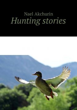 Книга "Hunting stories" – Nael Akchurin