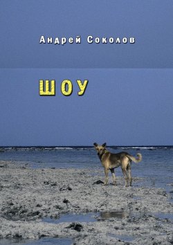 Книга "Шоу" – Андрей Николаевич Соколов, Андрей Соколов, Андрей Соколов