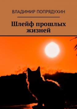 Книга "Шлейф прошлых жизней" – Владимир Попрядухин