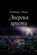 Энергия ярости (Владимир Мухин)