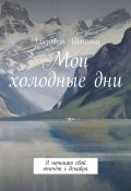 Мои холодные дни. Я начинаю свой отсчёт с декабря (Штольц Элизабет)