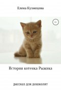 История котенка Рыжика (Елена Кузнецова, 2018)