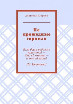 Книга "Не прошедшие горнило" – Анатолий Агарков