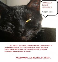 Книга "Принцесса, сыщик и черный кот" – Андрей Бинев