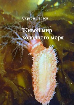 Книга "Живой мир холодного моря" – Сергей Гагаев