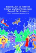 Сказки из Волшебного Леса: Зимний бал Водяного. Повесть четвертая. Рисунки Дарьи Ригель (Де Марино Надин, Надин Хоуп Де Марино)