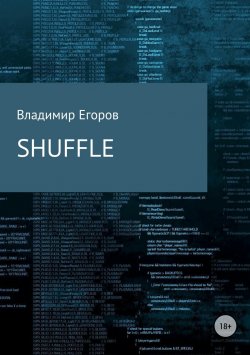Книга "Shuffle" – Владимир Борисович Егоров, Марк Сондин, Володя Егоров, 2013