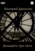 Двадцать три часа (Данилов Валерий, 2017)